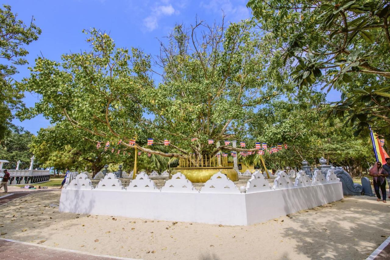 Thambu Illam Jaffna Exterior foto