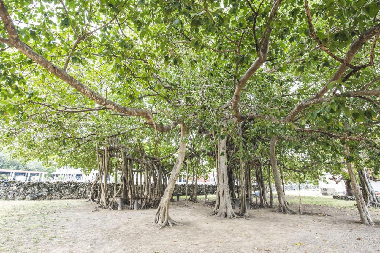 Thambu Illam Jaffna Exterior foto